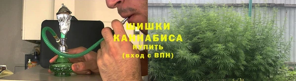 ECSTASY Кукмор